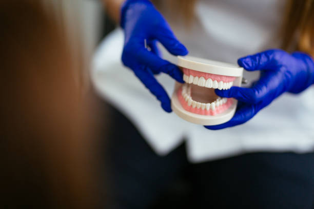 Trusted Phoenixville, PA Dental Services Experts
